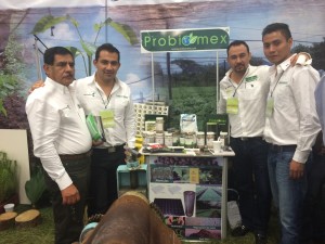 PROBIOMEX (19)